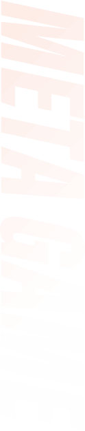 META GAME
